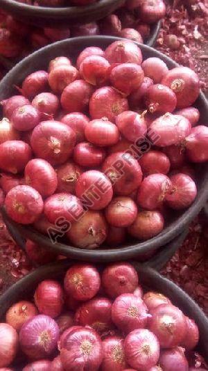 Fresh Red Onion