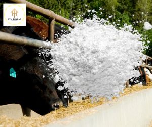 Cattle Feed Calcium Carbonate
