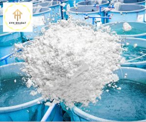 White Coated Calcium Carbonate Powder