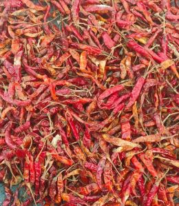 Fatki Red Chilli