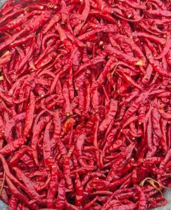 GUNTUR RED CHILLI TEJA