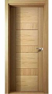 Fancy Wooden Flush Door