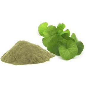 Bacopa Monnieri Extract