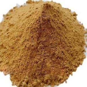 Coleus Forskohlii Extract