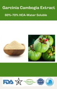 Garcinia Cambogia Extract