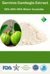 Garcinia Cambogia Extract