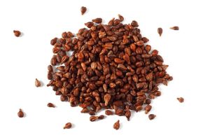 Grape Seed Extract