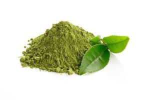 Holy Basil Extract