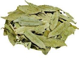 Cassia Angustifolia Senna Extract