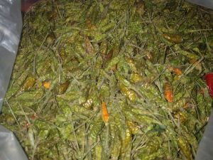 Dried Green Bird Eye Chilli