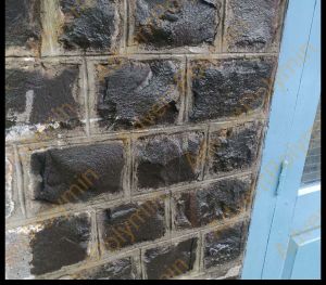 Water Repellent Coatings