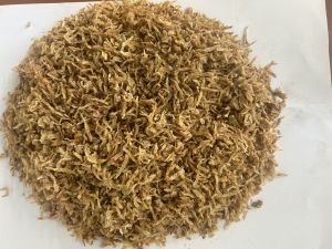 Sun Dried Jawla Fish
