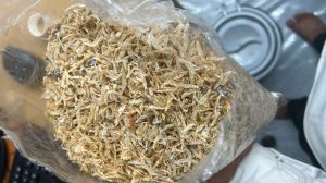 Sun Dried Jawla Fish