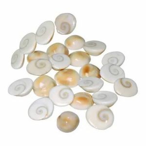 Opal Stone Round Gomti Chakra