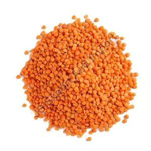 Split Masoor Dal