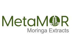 Moringa Oleifera Extract 20%