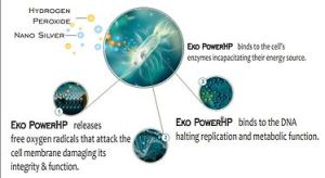 Eko Power HP (Hydrogen Peroxide 10%)