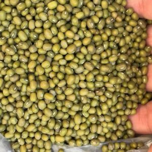 Mung Beans