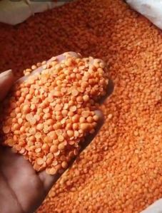 Red Masoor Dal