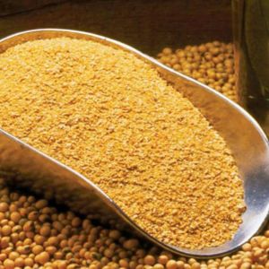 Soybean Meal