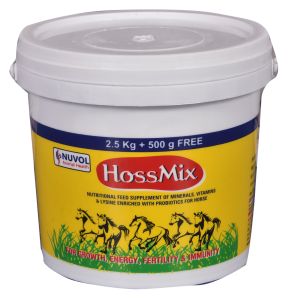 Horse Feed Supplements