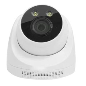 4 MP IP 2 Array Starlight Dome Camera