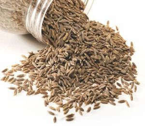 fresh cumin seeds