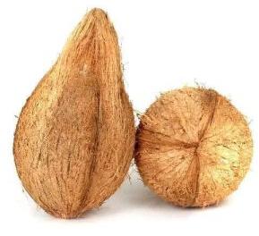 Fresh Semi Husked Coconut