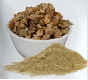 gokhru powder