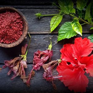 Hibiscus Powder