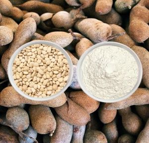 Tamarind Seed Powder