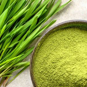 Wheatgrass Powder