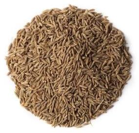 Brown Cumin Seeds