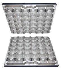 Plastic Egg Tray Mould