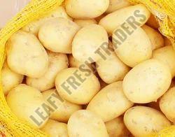 Fresh Potato