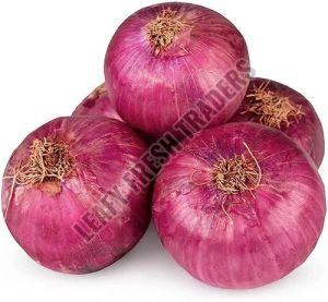 Fresh Red Onion