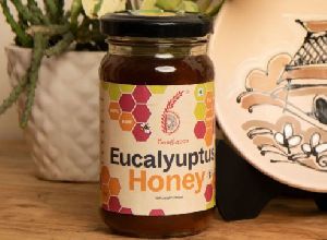 Eucalyptus Honey