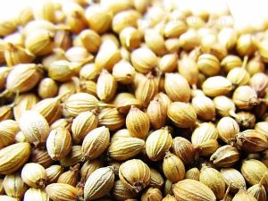 Coriander Seeds