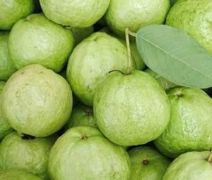 Fresh Guava