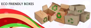 eco friendly boxes