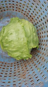 lettuce iceberg