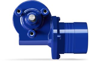 BLDC Worm Gear Motor