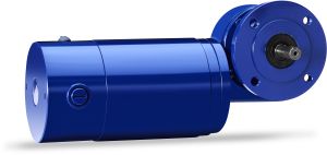 Electric Aluminium Blister Packing Motor