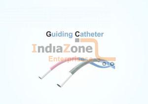 Guiding Catheter