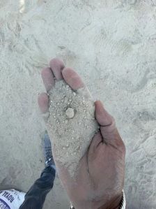 industrial gypsum powder