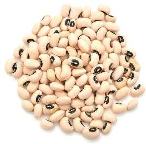 White Cowpea Seeds