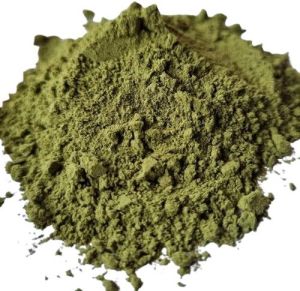 Dehydrated Mint Powder