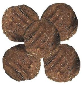 Cow Dung cake