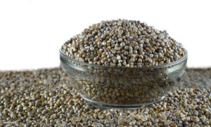 Organic Pearl Millet