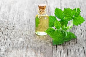 Peppermint Essential Oil